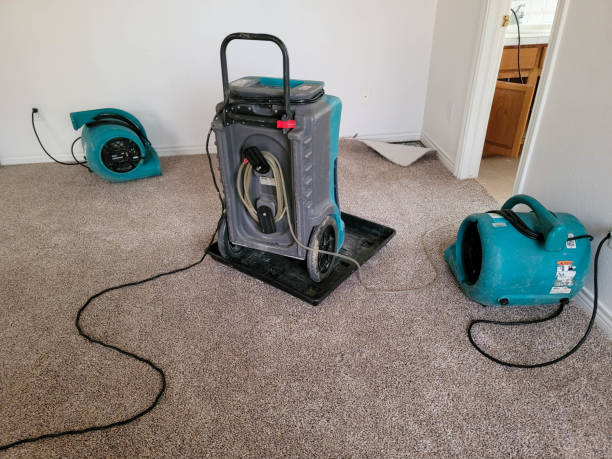 Best 24/7 water damage repair  in Cannon Af, NM