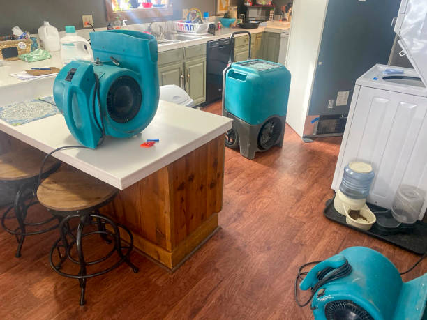 Best Water damage restoration near me  in Cannon Af, NM