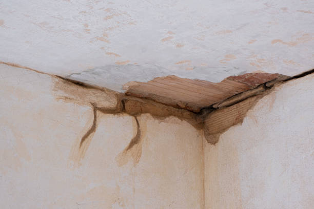 Best Emergency water damage restoration  in Cannon Af, NM