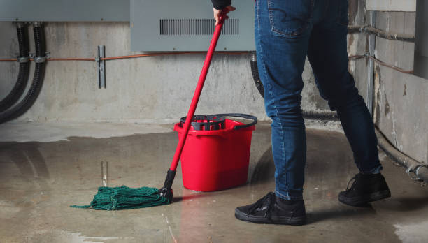  Cannon Af, NM Water damage restoration Pros