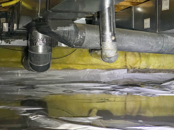 Best Flood restoration services  in Cannon Af, NM