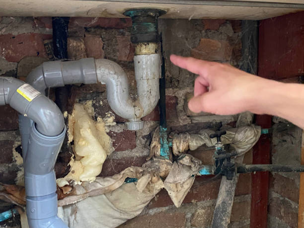 Best Sewage cleanup and water damage restoration  in Cannon Af, NM