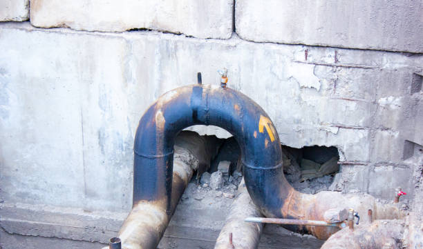 Best Carpet water damage restoration  in Cannon Af, NM