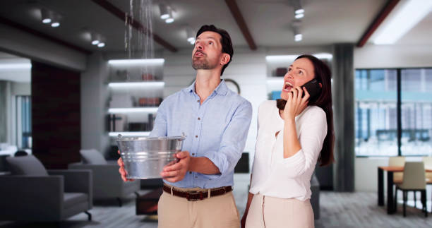 Best Emergency water damage restoration  in Cannon Af, NM