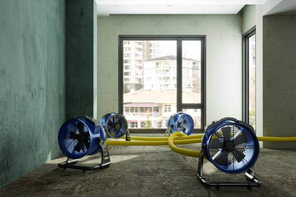 Best Water damage restoration insurance claims  in Cannon Af, NM