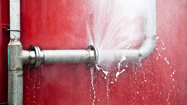 Best Water damage restoration company  in Cannon Af, NM